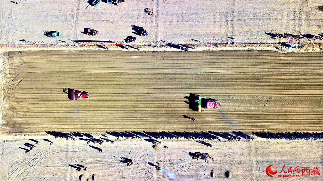 山南市扎囊縣扎其鄉(xiāng)孟卡榮村迎來春耕第一犁。人民網(wǎng) 次仁羅布攝