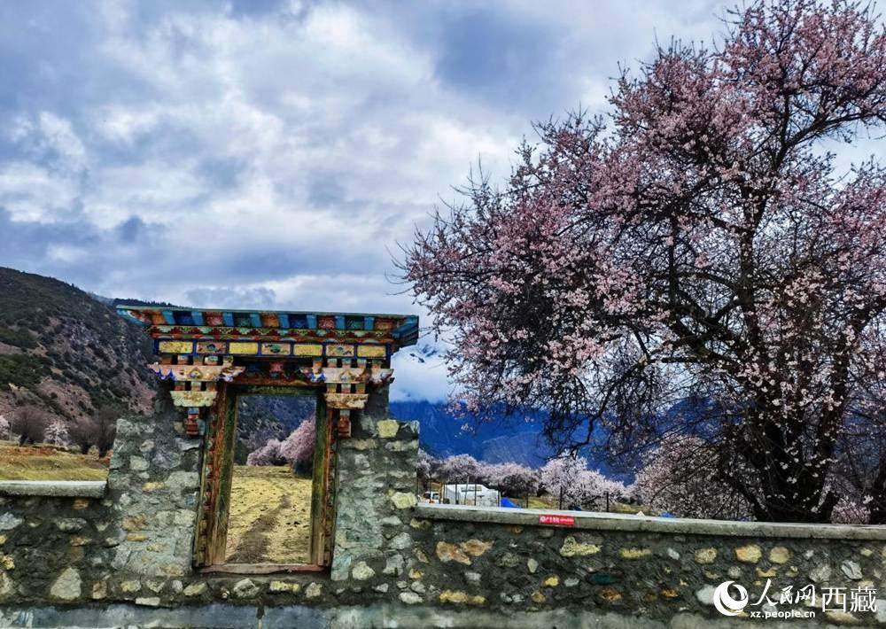 桃花下的藏式民居。人民網(wǎng) 李海霞攝