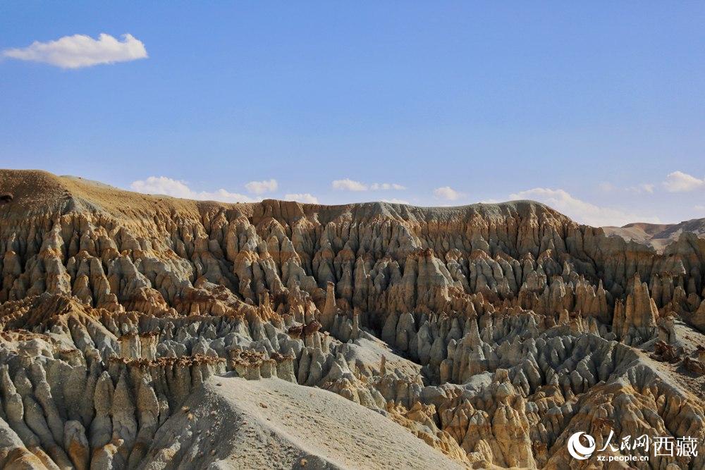 多姿多彩的土林。人民網(wǎng) 李海霞攝