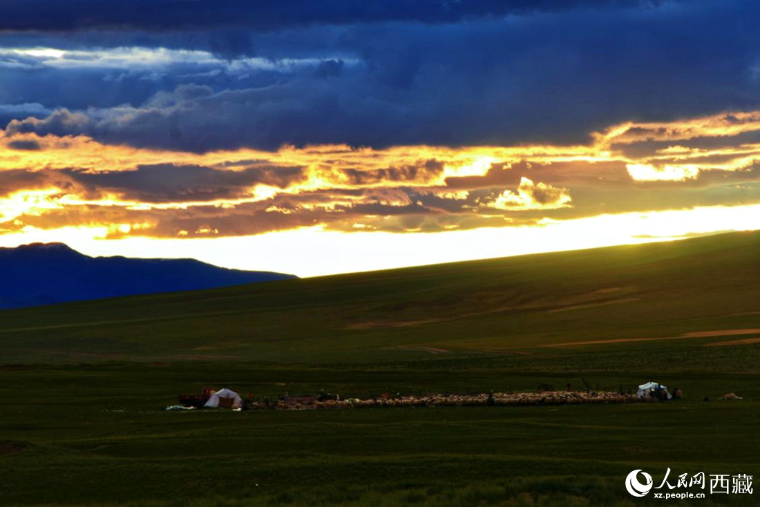 黃昏下的帳篷，牧民過著幸福生活。 人民網(wǎng) 李海霞攝