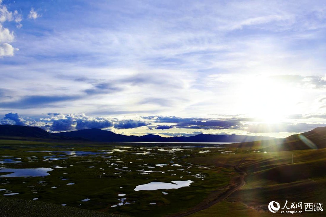 七月的羌塘草原處處是景。人民網(wǎng) 李海霞攝
