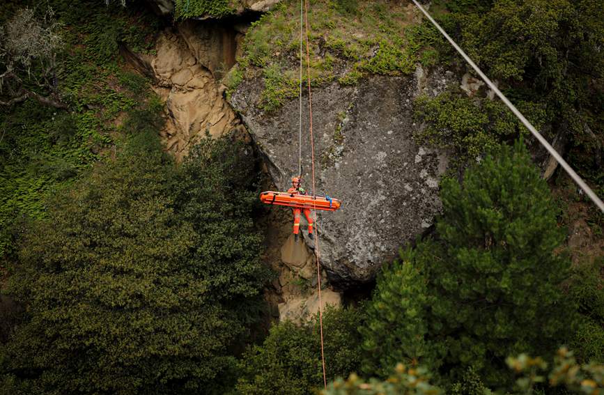 叢林中的橙色身影。西繞拉翁攝