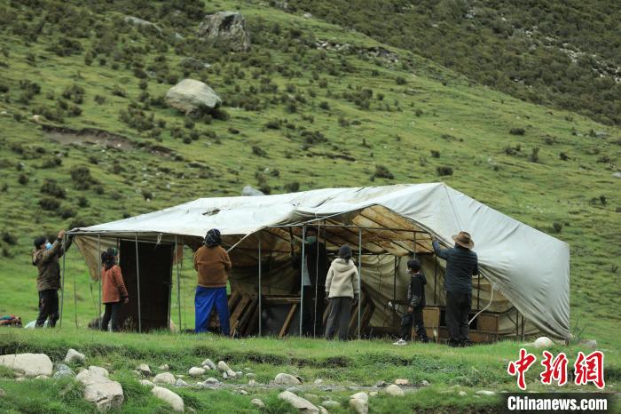 圖為牧民們在秋季牧場搭建帳篷?！÷蹇?攝