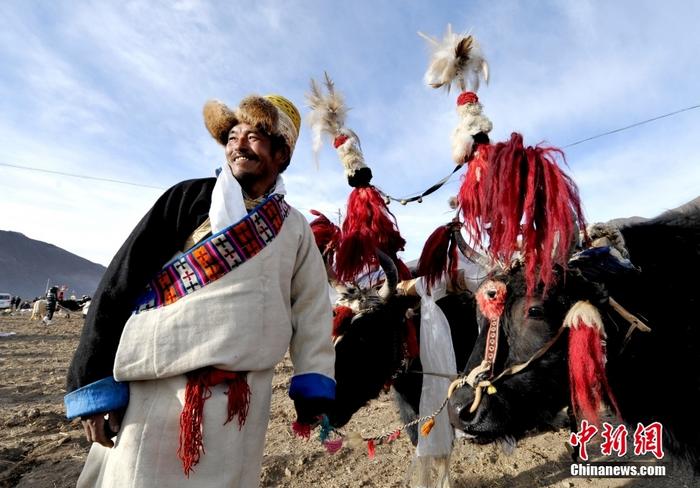 資料圖為2013年3月16日，拉薩市堆龍德慶區(qū)德慶村的農(nóng)民牽著牦牛參加春耕儀式，按照傳統(tǒng)方式由牦牛開(kāi)第一犁。 <a target='_blank' href='/'><p  align=