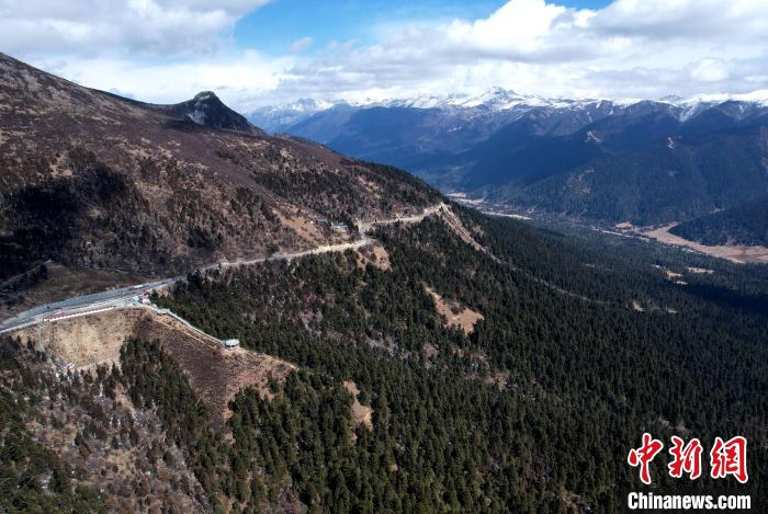 2月17日，西藏林芝魯朗林海。(無人機(jī)照片) 李林 攝