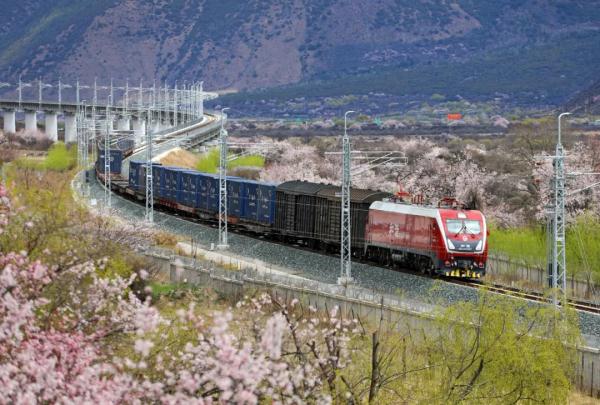 人間桃花源！林芝桃花有多絕？