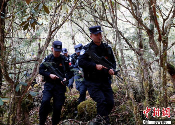 山南邊境管理支隊玉麥邊境派出所民警在邊境原始森林里開展邊境巡邏。　鄭琦山 攝