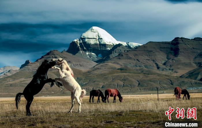 圖為參展攝影師拍攝的西藏阿里岡仁波齊。　主辦方 供圖