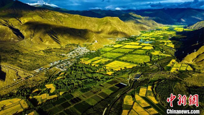 圖為山南雍布拉康附近農(nóng)田?！埼?攝