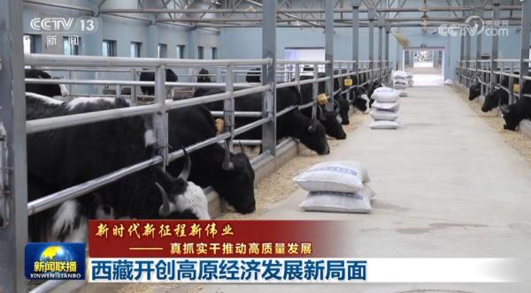 【新時代新征程新偉業(yè)——真抓實干推動高質(zhì)量發(fā)展】西藏開創(chuàng)高原經(jīng)濟(jì)發(fā)展新局面