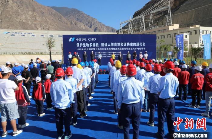 圖為蘇洼龍水電站魚類放流現場?！√K洼龍水電站供圖