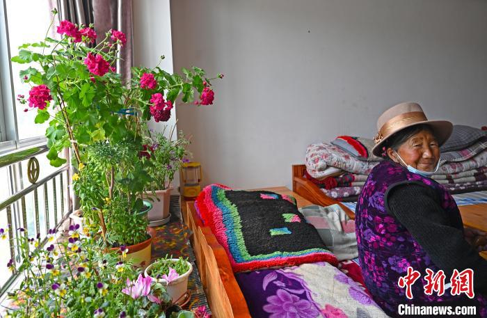 圖為曲松縣特困人員集中供養(yǎng)中心老人德吉卓嘎與她的花?！≮w朗 攝