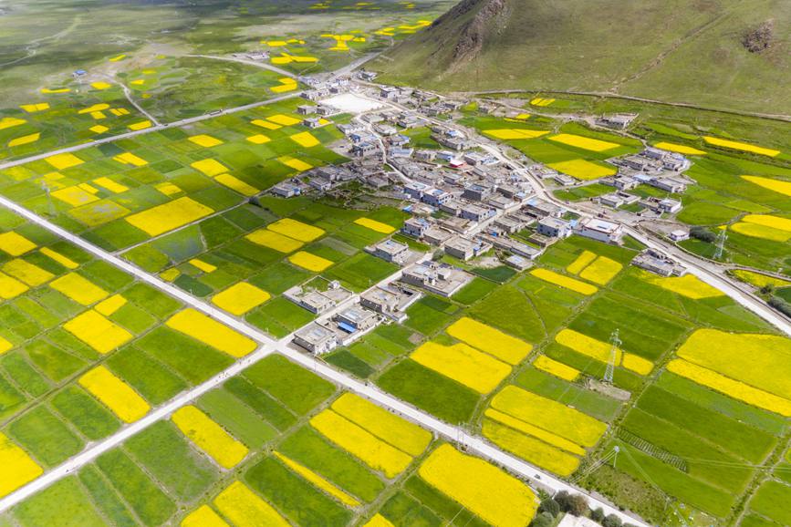 航拍道布龍村，依山傍水，阡陌縱橫。