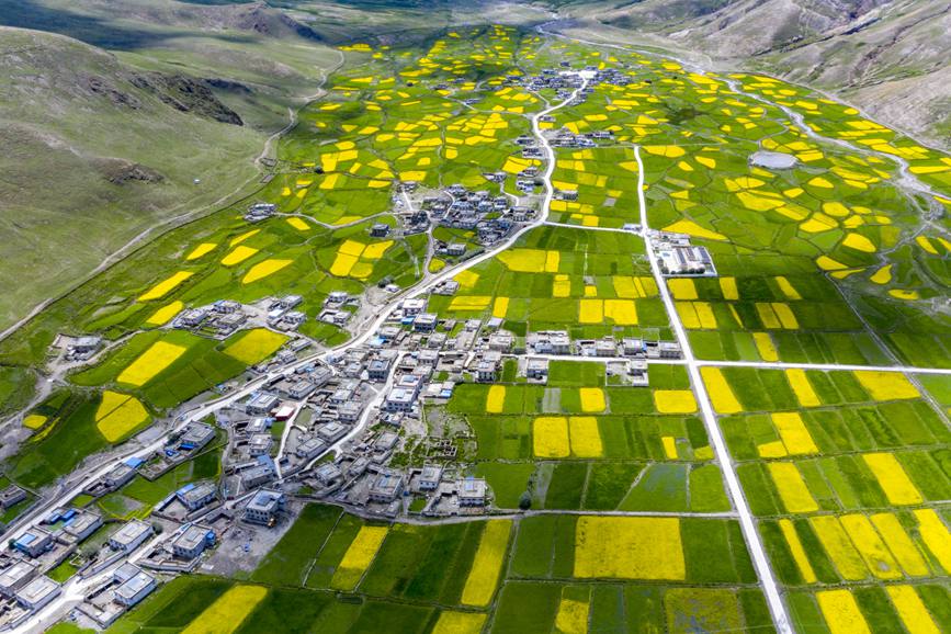 航拍道布龍村，依山傍水，阡陌縱橫。