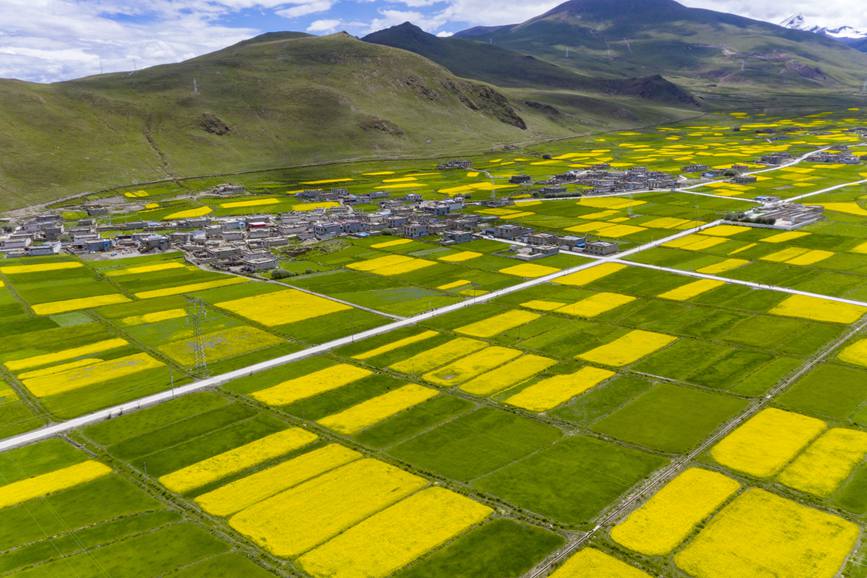 航拍道布龍村，依山傍水，阡陌縱橫。