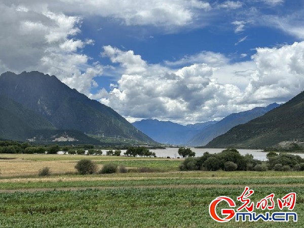 我們的家園｜林芝米林縣：河長護(hù)藥洲，碧水映花谷