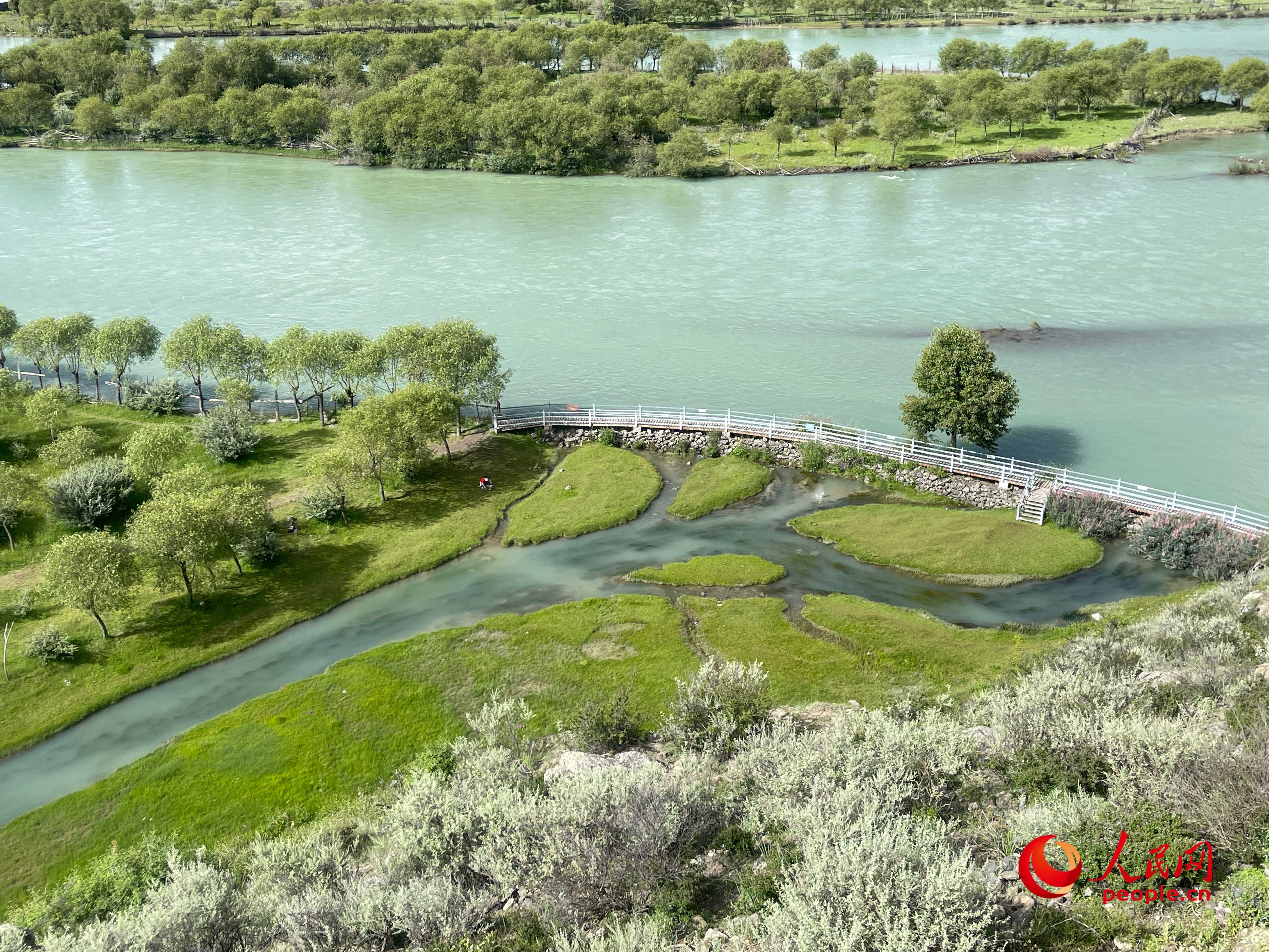 夏日的雅尼國家濕地公園生機(jī)盎然，如詩如畫。人民網(wǎng) 周靜圓攝