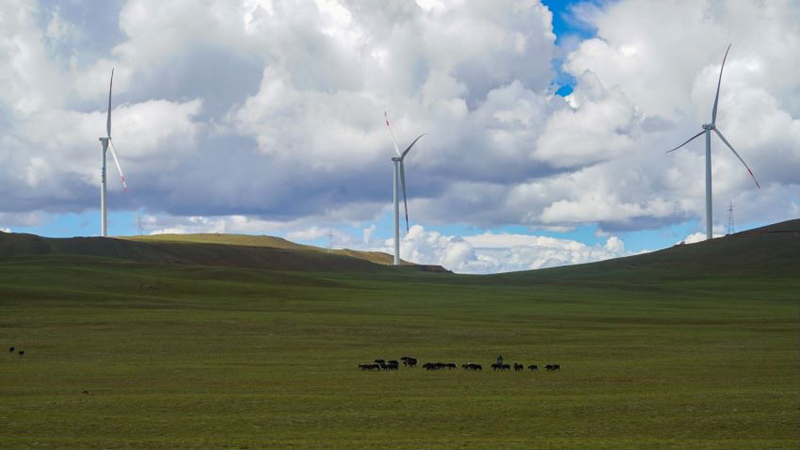 西藏措美哲古風(fēng)電場(chǎng)首批3.6兆瓦風(fēng)電機(jī)組并網(wǎng)發(fā)電。受訪(fǎng)者供圖