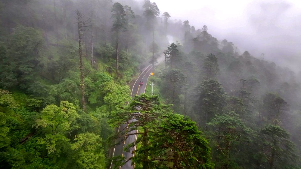 穿行于綠色間。張澤坤攝