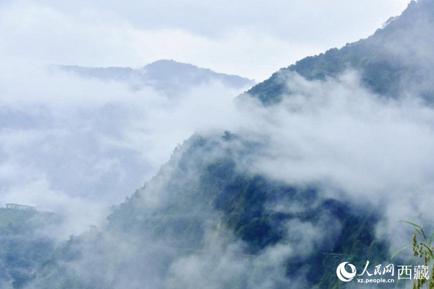 秋日里的墨脫云海。人民網(wǎng) 李海霞攝