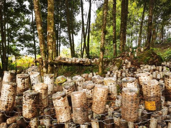 幾代建設(shè)者，歷經(jīng)半個(gè)多世紀(jì)完成！這是一條怎樣的公路？