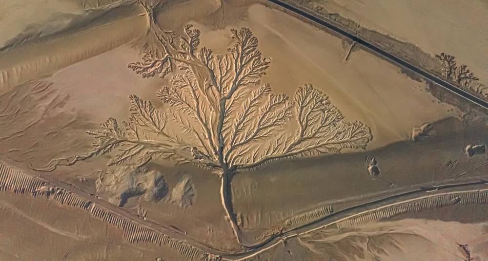 壯觀的“大地之樹”。邊巴多吉攝