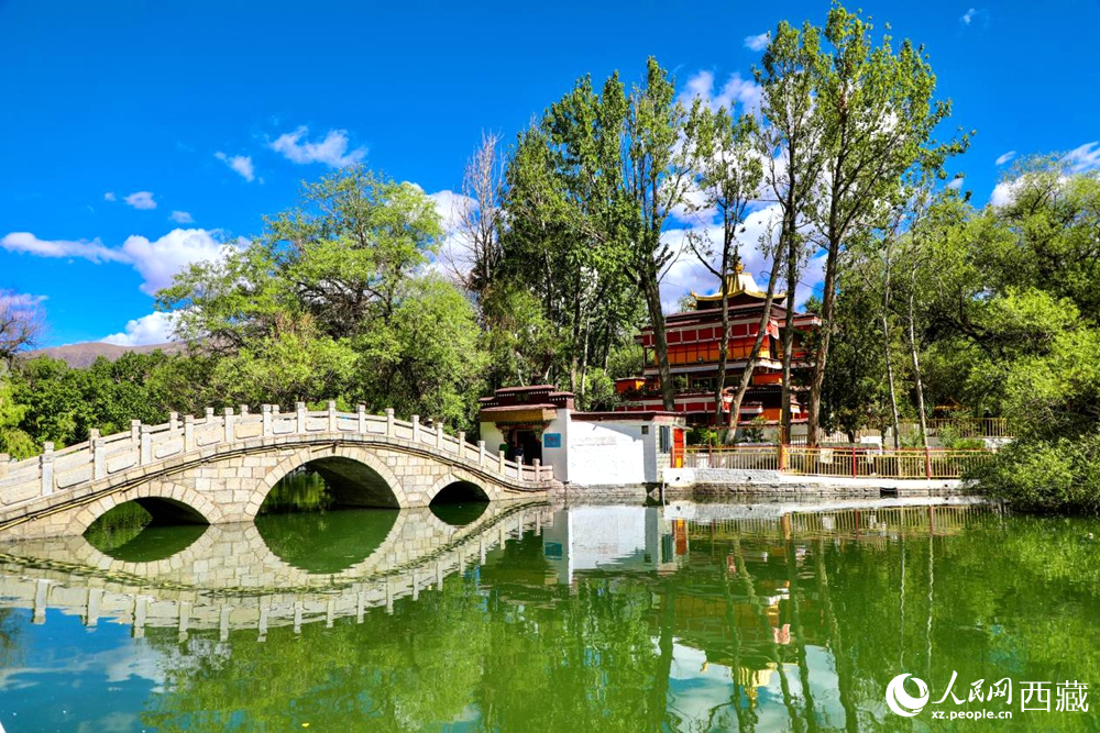 公園內(nèi)綠意盎然。