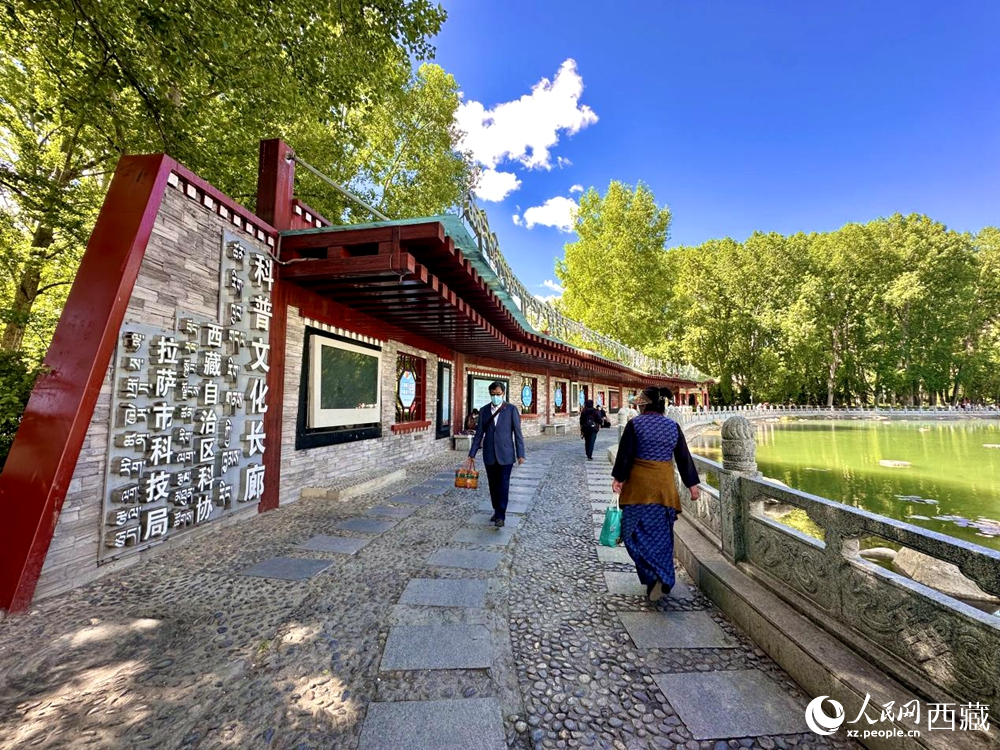 公園內(nèi)的科普文化長(zhǎng)廊。