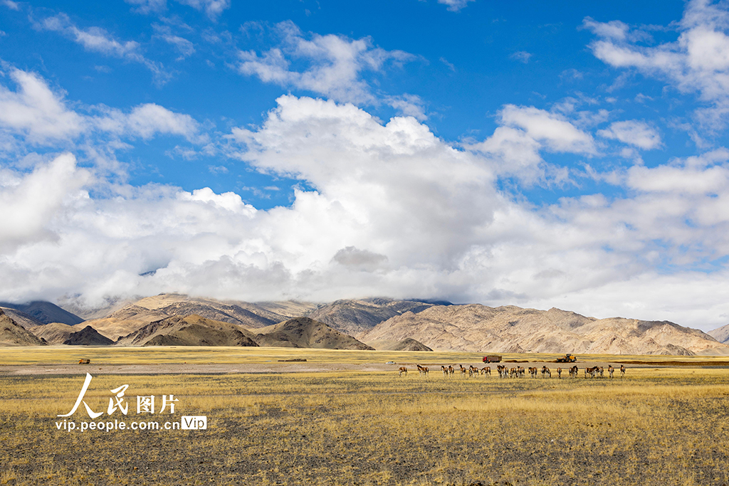 西藏阿里：高原公路建設(shè)忙【10】