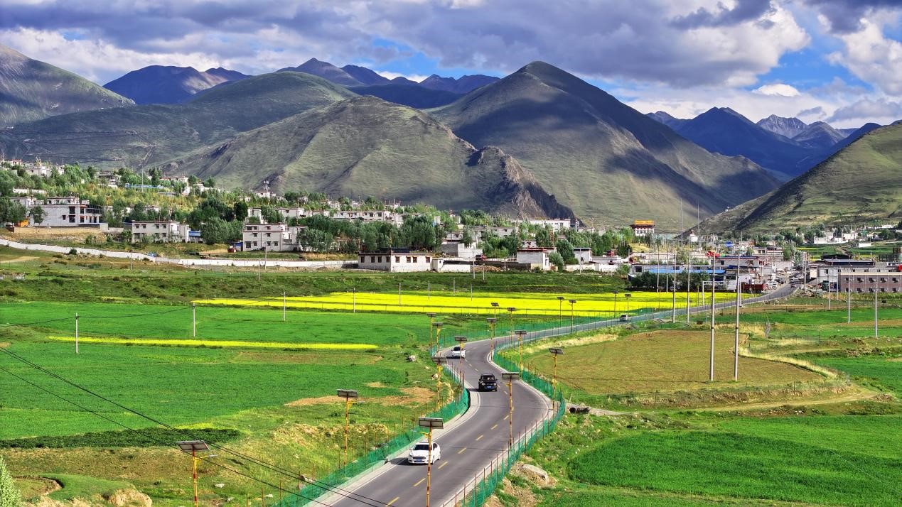 油菜花開“金”滿地。墨竹工卡縣委宣傳部 洛克攝