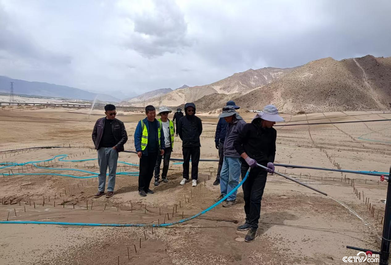 拉薩南北山綠化工程貢嘎段11號(hào)片區(qū)開展生態(tài)修復(fù)工程（主辦方供圖）