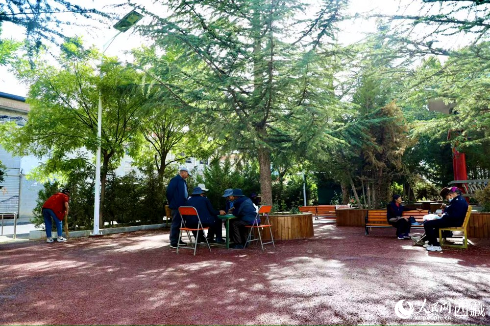 老人們?cè)诰G樹成蔭的“社區(qū)會(huì)客廳”中對(duì)弈休憩。人民網(wǎng)記者 次仁羅布攝