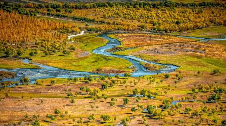 懂西藏的人，一定不會錯過林芝的秋天