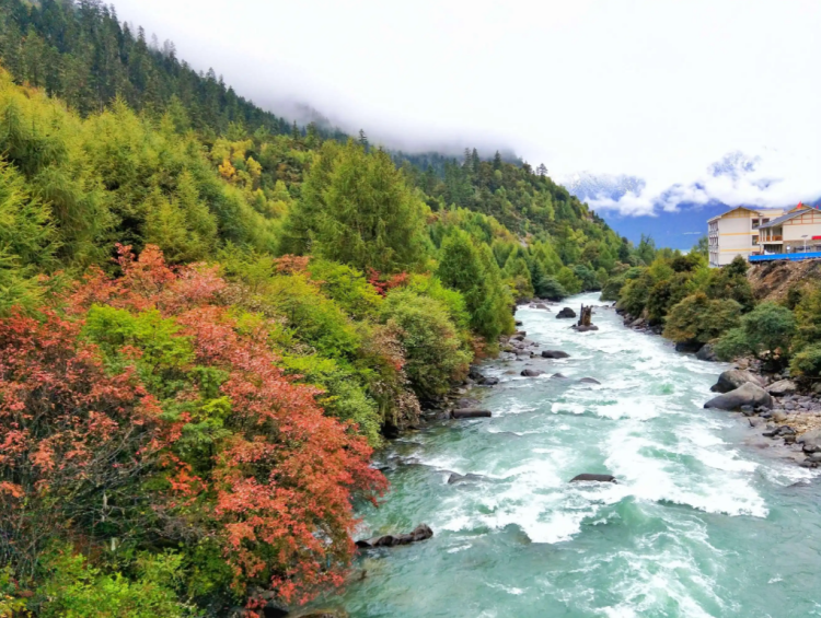 懂西藏的人，一定不會錯過林芝的秋天