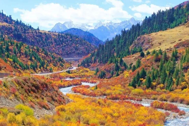 懂西藏的人，一定不會錯過林芝的秋天