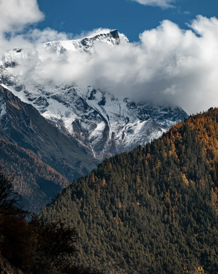 懂西藏的人，一定不會錯過林芝的秋天