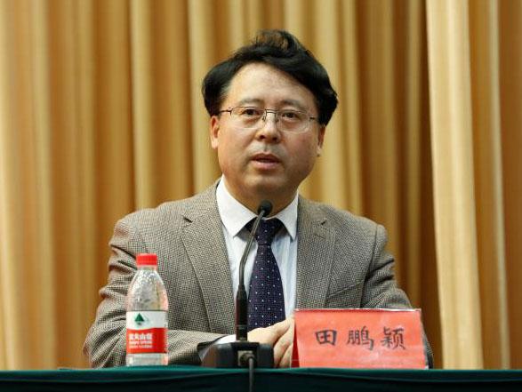 田鵬穎：投入其中、樂在其中、安身其中