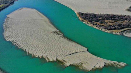 看！雅魯藏布江上有這樣一條“沙魚”