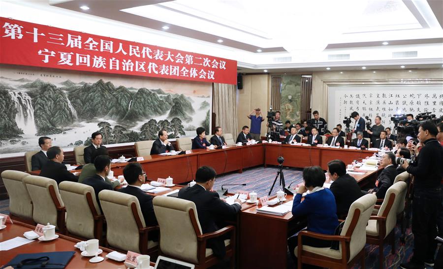 （兩會(huì)）（1）寧夏代表團(tuán)全體會(huì)議向媒體開放