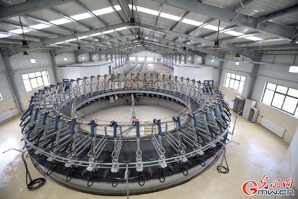 【幸?；ㄩ_新邊疆】大力發(fā)展西藏隆子縣特色產(chǎn)業(yè) 堅決打贏脫貧攻堅戰(zhàn)