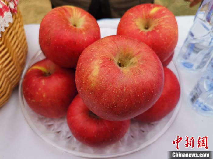 延安蘋(píng)果。<a target='_blank'  ><p  align=