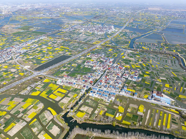 春天里的水鄉(xiāng)興化。周社根攝