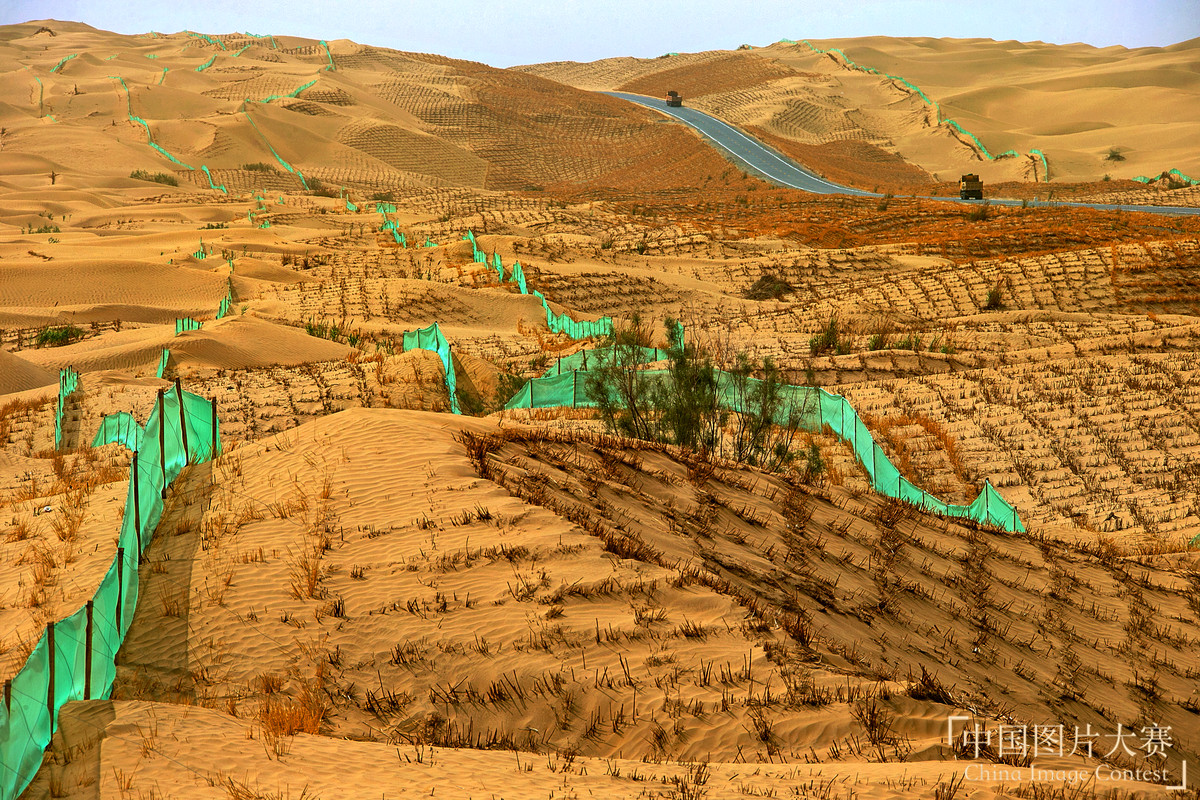 綠化大漠不是夢