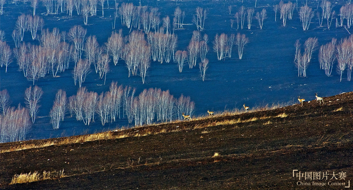 捍衛(wèi)綠色生態(tài)——阿爾山林業(yè)防撲火紀(jì)實(shí)